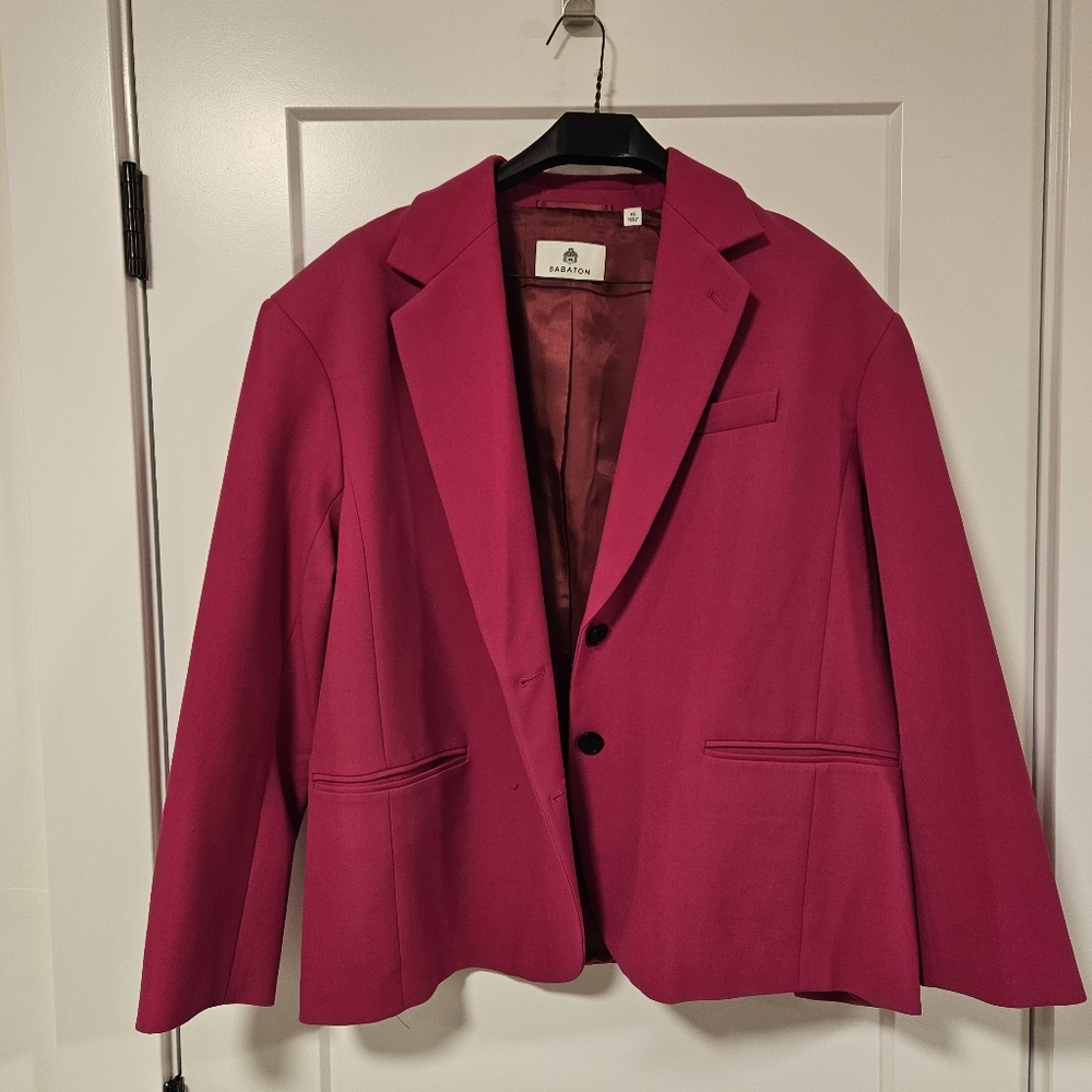 Babaton Oversized Blazer